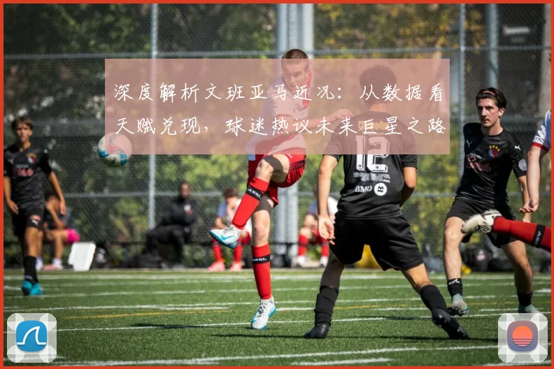 深度解析文班亚马近况:从数据看天赋兑现,球迷热议未来巨星之路